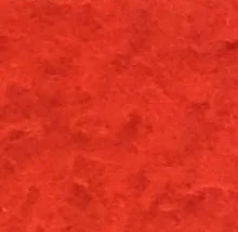 Detalle de la muestra de Casentino: Corallo