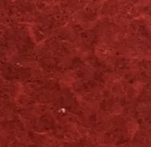 Detalle de la muestra de Casentino: Corallo Scuro